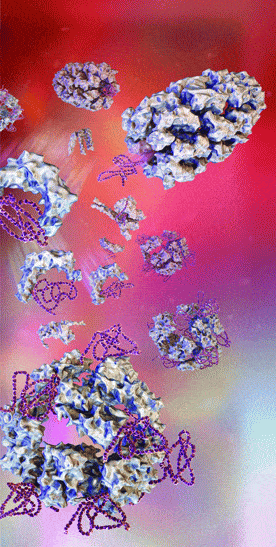 http://oloommagazine.com/images/Articles/2009/3&4/137.gif