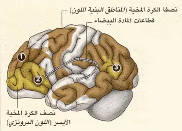 http://oloommagazine.com/images/Articles/2009/5-6/fdh.gif