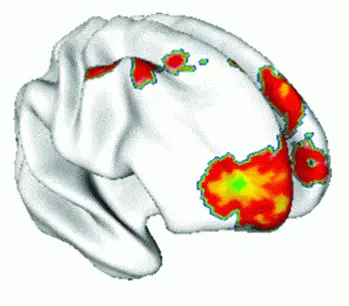 http://oloommagazine.com/images/Articles/2009/5-6/013.gif