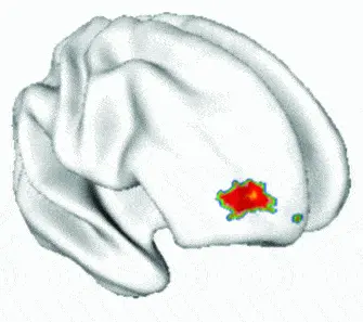 http://oloommagazine.com/images/Articles/2009/5-6/014.gif