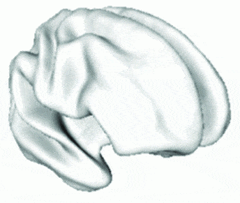 http://oloommagazine.com/images/Articles/2009/5-6/015.gif