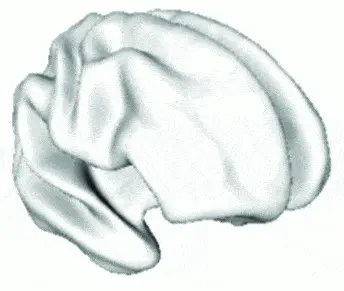 http://oloommagazine.com/images/Articles/2009/5-6/015.gif