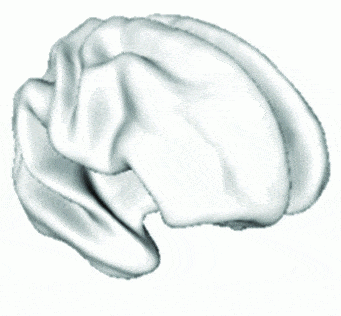 http://oloommagazine.com/images/Articles/2009/5-6/016.gif