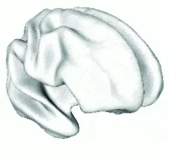 http://oloommagazine.com/images/Articles/2009/5-6/016.gif