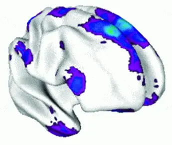 http://oloommagazine.com/images/Articles/2009/5-6/017.gif