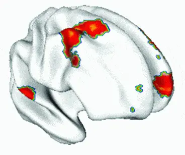 http://oloommagazine.com/images/Articles/2009/5-6/148.gif