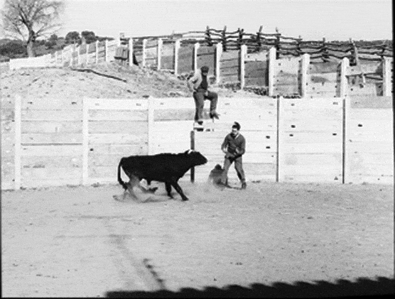 http://oloommagazine.com/images/Articles/2009/8&7/035.gif