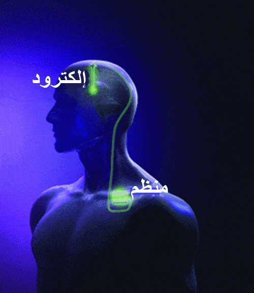 http://oloommagazine.com/Images/Articles/2009/8&7/42%20copy.gif