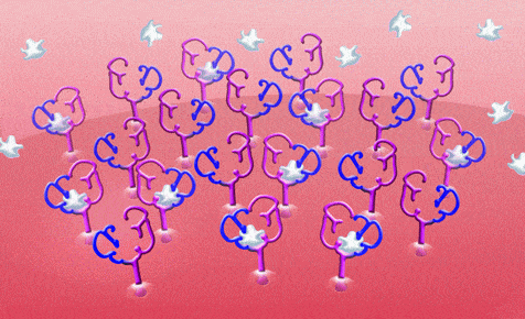 http://oloommagazine.com/images/Articles/2009/9-10/110.gif