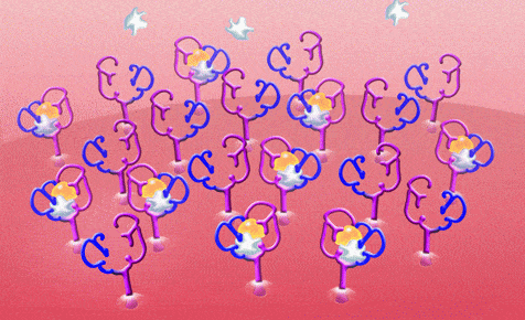 http://oloommagazine.com/images/Articles/2009/9-10/109.gif