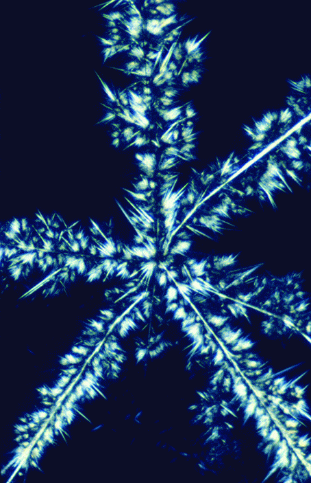 http://oloommagazine.com/images/Articles/2009/9-10/044.gif
