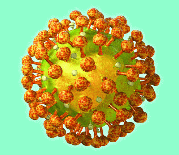 http://oloommagazine.com/images/Articles/2009/9-10/043.gif