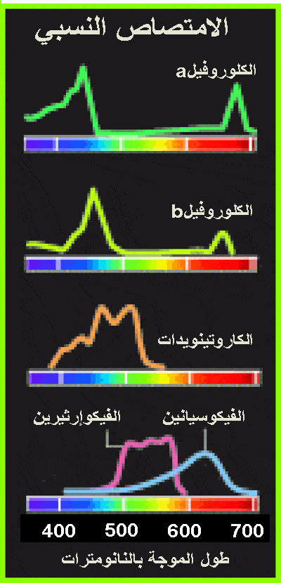 http://oloommagazine.com/images/Articles/2009/9-10/057%20copy.gif