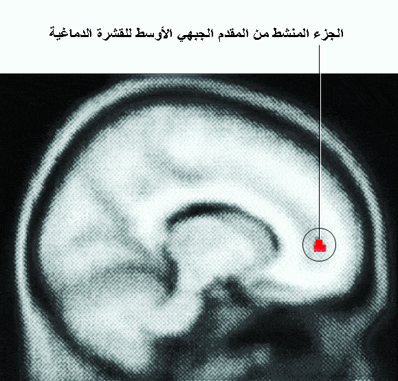 http://oloommagazine.com/images/Articles/2009/9-10/012%20copy.gif