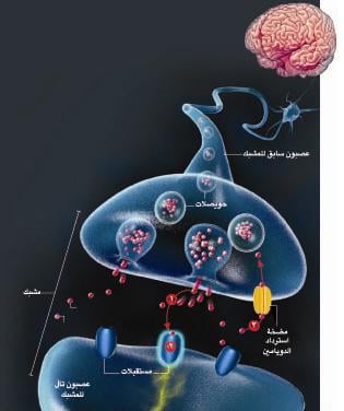 http://oloommagazine.com/Images/Articles/2010/1-2/emad2.jpg