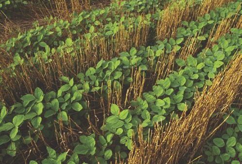 http://oloommagazine.com/Images/Articles/2010/3-4/2010_03_04_33.jpg