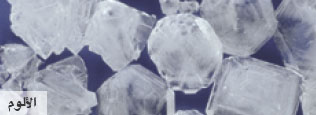 http://oloommagazine.com/Images/Articles/2010/5-6/2010_05_06_36.jpg