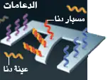 http://oloommagazine.com/Images/Articles/2010/7-8/2010_07_08_022_b.png