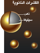 http://oloommagazine.com/Images/Articles/2010/7-8/2010_07_08_022_d.png