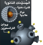 http://oloommagazine.com/Images/Articles/2010/7-8/2010_07_08_022_e.png