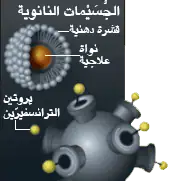 http://oloommagazine.com/Images/Articles/2010/7-8/2010_07_08_022_e.png