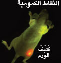 http://oloommagazine.com/Images/Articles/2010/7-8/2010_07_08_022_c.jpg