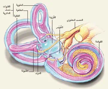 http://oloommagazine.com/Images/Articles/2010/7-8/2010_07_08_016_c.jpg