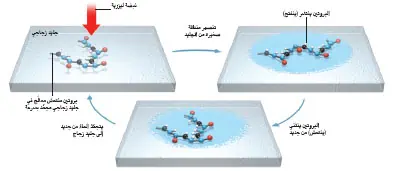 http://oloommagazine.com/Images/Articles/2011/1-2/2011_01_02_30.jpg