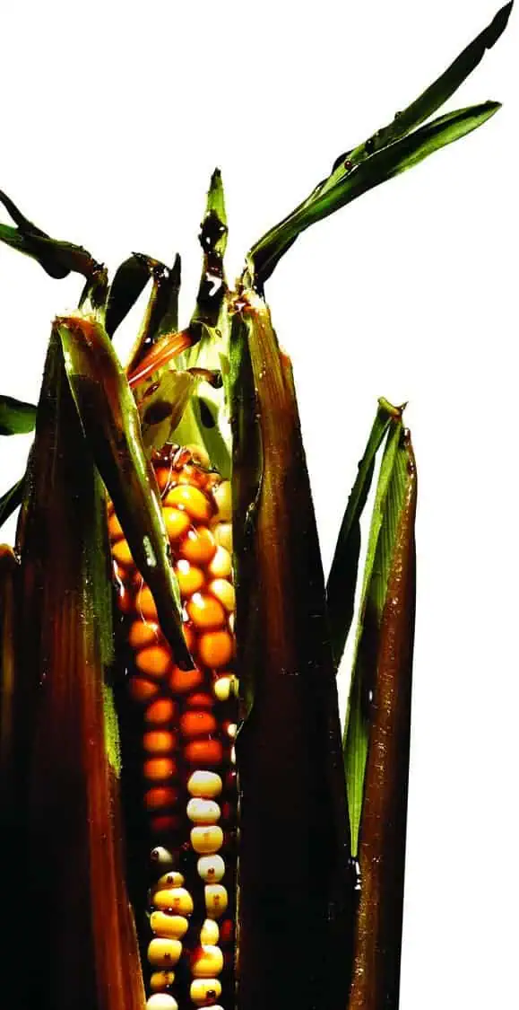 http://oloommagazine.com/Images/Articles/2012/01-02/2012_01_02_05.jpg