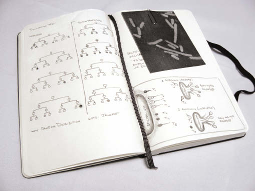http://oloommagazine.com/Images/Articles/2012/09-10/2012_09_10_36.jpg