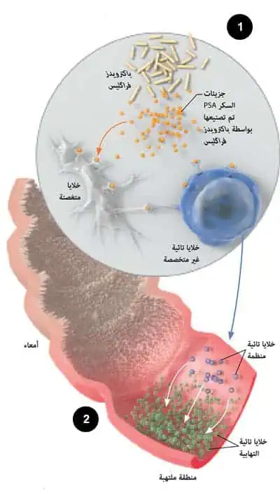 http://oloommagazine.com/Images/Articles/2012/11-12/2012_11_12_08.jpg