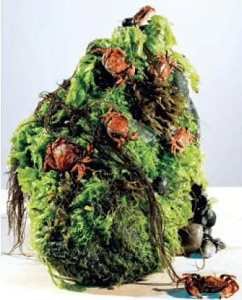 http://oloommagazine.com/Images/Articles/2013/11-12/33.png