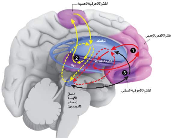 http://oloommagazine.com/Images/Articles/2014/11-12/2014_11_12_38.jpg