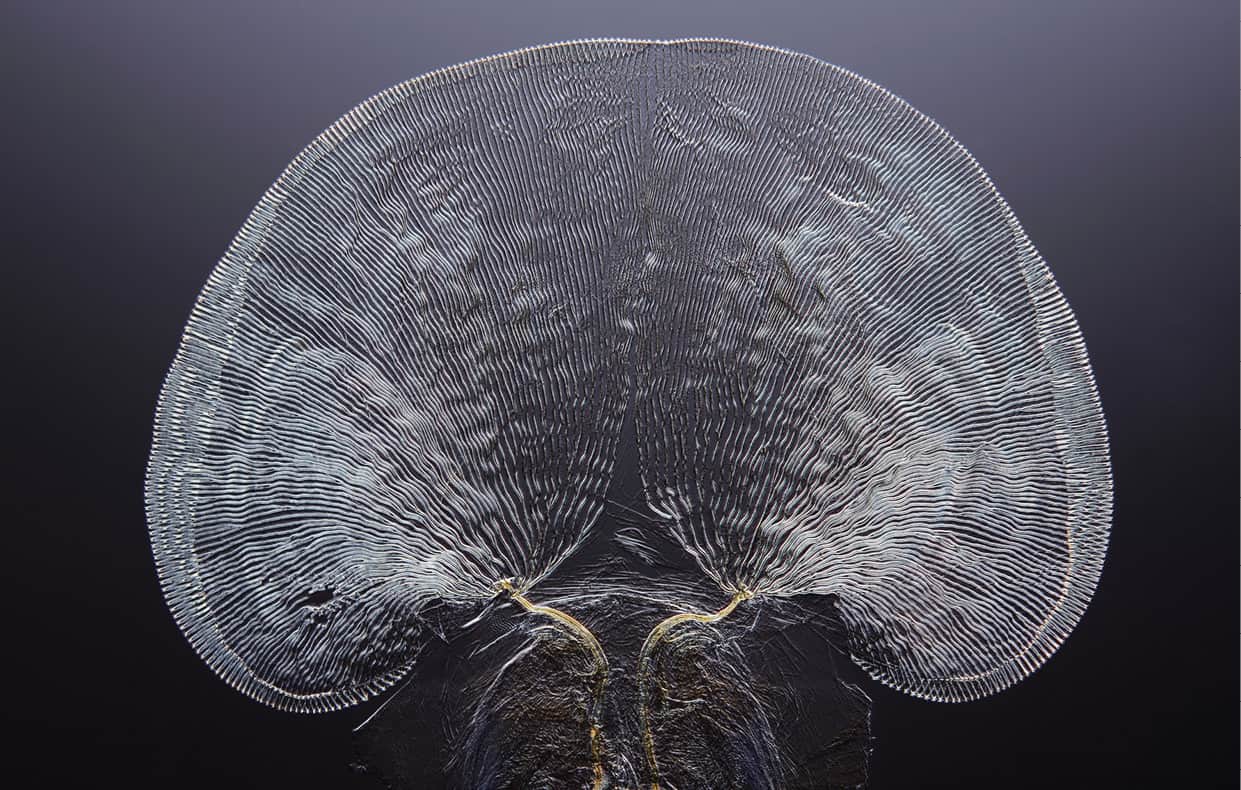 http://oloommagazine.com/Images/Articles/2015/09-10/2015_10_09_32_b.jpg