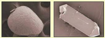 http://oloommagazine.com/images/Articles/21/SCI2005b21N12_H03_003872.jpg