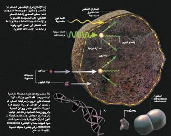 http://oloommagazine.com/images/Articles/21/SCI2005b21N10-11_H05_001051.jpg