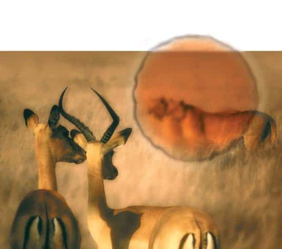 http://oloommagazine.com/images/Articles/21/SCI2005b21N10-11_H03_001041.jpg