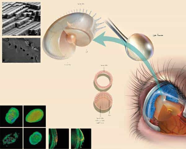 http://oloommagazine.com/images/Articles/21/SCI2005b21N10-11_H03_001042.jpg