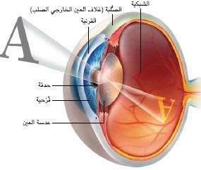 http://oloommagazine.com/images/Articles/21/SCI2005b21N10-11_H03_001043.jpg