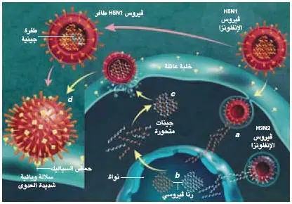 http://oloommagazine.com/images/Articles/21/SCI2005b21N10-11_H01_001028.jpg