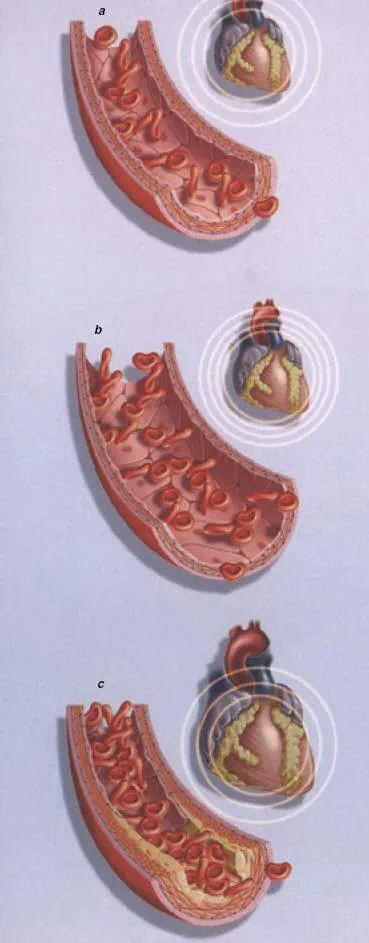 http://oloommagazine.com/images/Articles/21/SCI2005b21N5-6_H01_004019.jpg