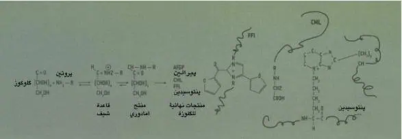 http://oloommagazine.com/images/Articles/21/SCI2005b21N5-6_H01_004021.jpg