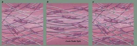 http://oloommagazine.com/images/Articles/21/SCI2005b21N5-6_H01_004022.jpg