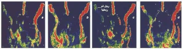 http://oloommagazine.com/images/Articles/21/SCI2005b21N5-6_H01_004023.jpg