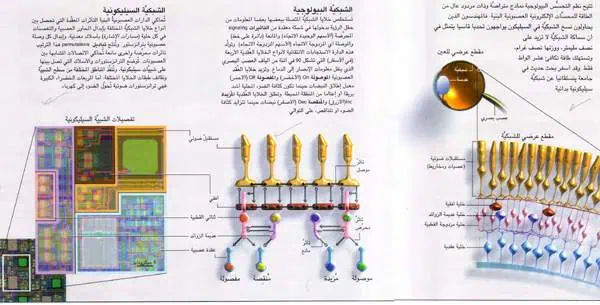 http://oloommagazine.com/images/Articles/21/SCI2005b21N5-6_H04_004038.jpg
