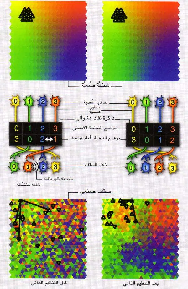 http://oloommagazine.com/images/Articles/21/SCI2005b21N5-6_H04_004039.jpg