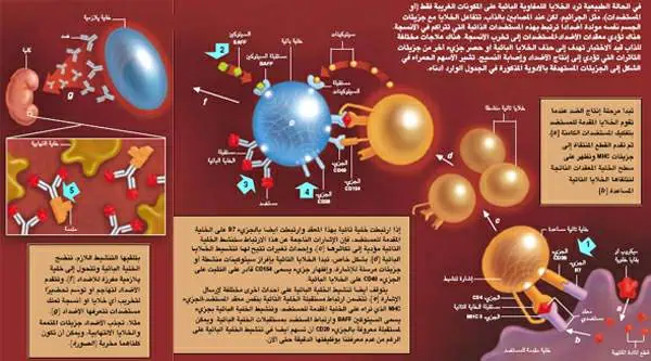 http://oloommagazine.com/images/Articles/21/SCI2005b21N5-6_H03_004028.jpg