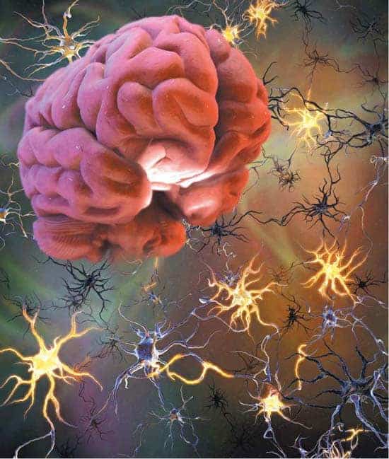 http://oloommagazine.com/images/Articles/21/SCI2005b21N9_H04_004227.jpg