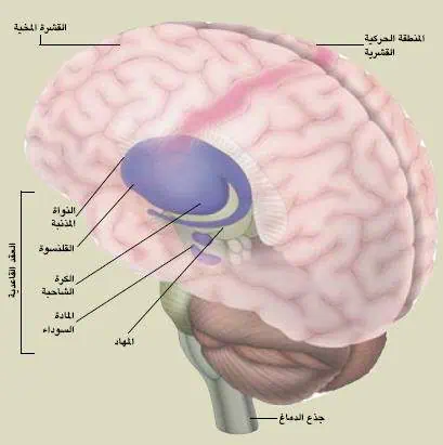 http://oloommagazine.com/images/Articles/21/SCI2005b21N9_H04_004228.jpg