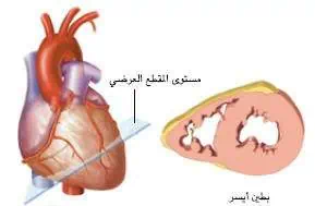 http://oloommagazine.com/images/Articles/21/SCI2005b21N9_H01_004205.jpg